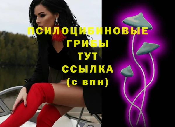 тгк Армянск