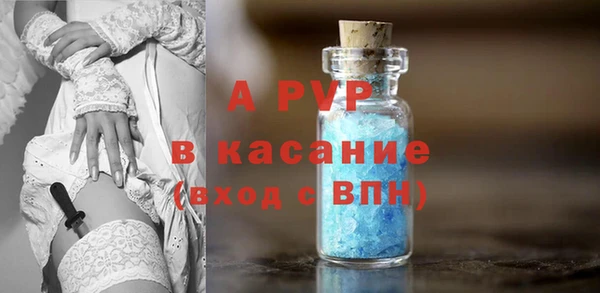эйфоретик Арсеньев