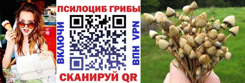 Галлюциногенные грибы Magic Shrooms  Макарьев 